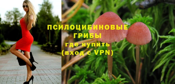 мдма Богородск