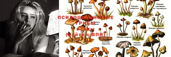 мет Богородицк