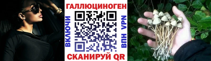 Псилоцибиновые грибы Cubensis Светлый